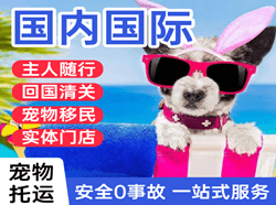 宝安机场物流国际宠物托运 【国
